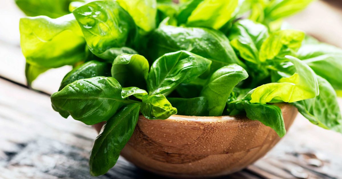 Basil Seasoning The Pahari Life