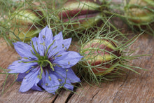 Load image into Gallery viewer, Kala Jeera (Black Caraway)