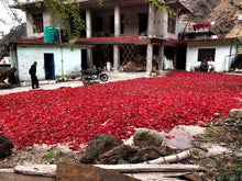 Load image into Gallery viewer, Sugar free Rhododendron (Buransh) Concentrate / Health Drink