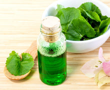 Load image into Gallery viewer, Cold Pressed Gotu kola (Brahmi) Oil - (Certified Organic)