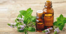 Load image into Gallery viewer, Himalayan Peppermint Steam Distilled Edible Essential Oil - (Certified Organic)