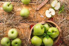Load image into Gallery viewer, Green Apple Ketchup