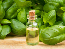Load image into Gallery viewer, Holy Basil (Shyama Tulsi) Steam Distilled Edible Essential Oil - (Certified Organic)