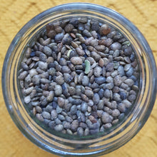 Load image into Gallery viewer, Gahat/ Gehat (Himalayan Horse gram)