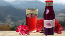 Load image into Gallery viewer, Rhododendron Flower (Buransh) Concentrate (Squash)