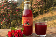 Load image into Gallery viewer, Rhododendron Flower (Buransh) Concentrate (Squash)