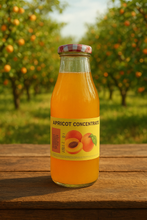 Load image into Gallery viewer, Apricot Concentrate