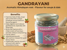 Load image into Gallery viewer, Gandrayani