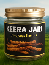 Load image into Gallery viewer, KEERA JARI /   KEEDA JADI /   YARSAGUMBA/   CATERPILLAR FUNGUS /   (CORDYCEPS SINENSIS)
