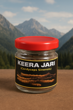Load image into Gallery viewer, KEERA JADI (CORDYCEPS SINENSIS)