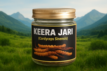 Load image into Gallery viewer, KEERA JADI (CORDYCEPS SINENSIS)