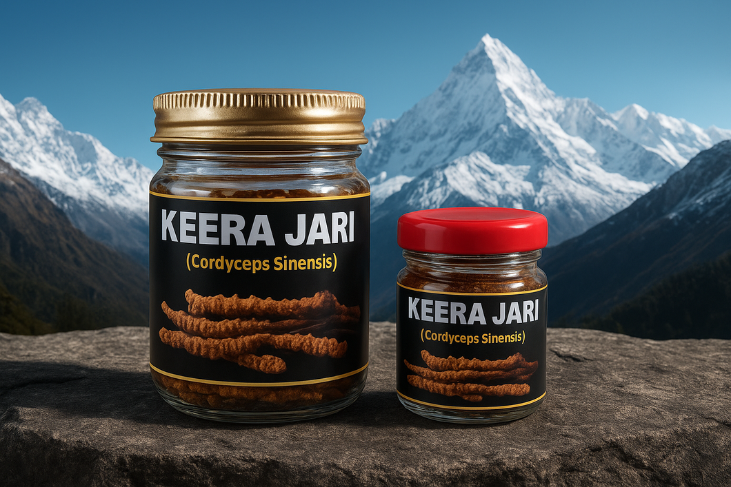 KEERA JADI (CORDYCEPS SINENSIS)