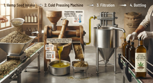 Load image into Gallery viewer, Hemp (Bhang) Seed Oil - Cold Pressed