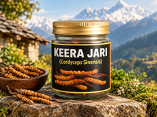 Load image into Gallery viewer, KEERA JARI /   KEEDA JADI /   YARSAGUMBA/   CATERPILLAR FUNGUS /   (CORDYCEPS SINENSIS)