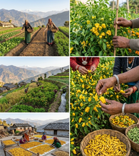 Load image into Gallery viewer, Lakhori (Yellow Chilli) Powder