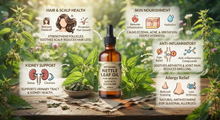 Load image into Gallery viewer, Nettle Leaf Oil - Cold Pressed