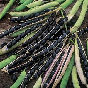 Organic Bhatt (Black Soybeans)