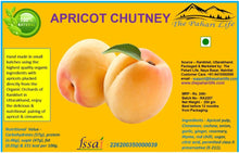 Load image into Gallery viewer, Apricot Chutney