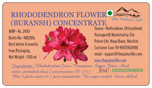 Rhododendron Flower (Buransh) Concentrate (Squash)