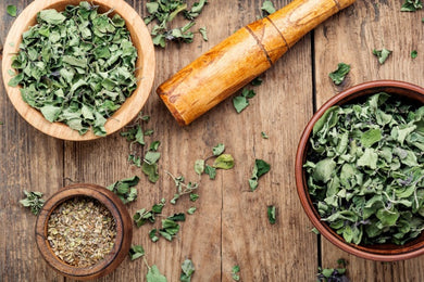 Marjoram