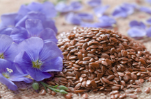 Load image into Gallery viewer, Organic Himalayan Flax Seeds (Alsi)