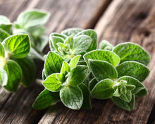Load image into Gallery viewer, Oregano Leaves