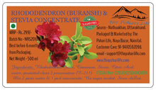 Load image into Gallery viewer, Rhododendron (Buransh) &amp; Stevia Concentrate (Squash) - Sugar free