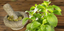 Load image into Gallery viewer, Organic Stevia Powder (100% Sugar Free Natural Sweetener)