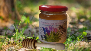 Himalayan Wild Forest Honey